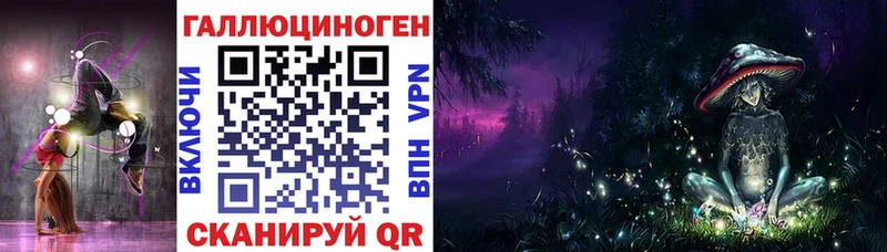 MEGA вход  купить  цена  Микунь  Псилоцибиновые грибы Psilocybine cubensis 