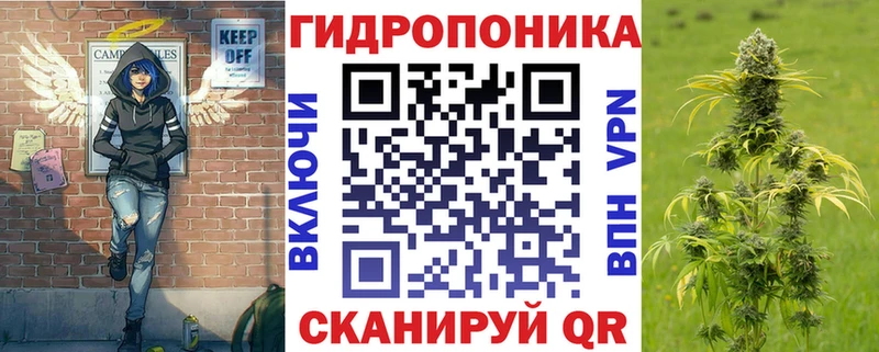 Бошки Шишки VHQ  Микунь 